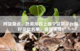 网贷盘点，急需用钱上哪个贷款平台最好贷款名单，值得关注！