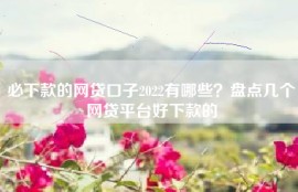 必下款的网贷口子2022有哪些？盘点几个网贷平台好下款的