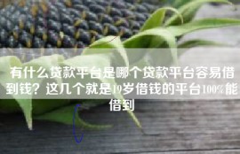 有什么贷款平台是哪个贷款平台容易借到钱？这几个就是19岁借钱的平台100%能借到