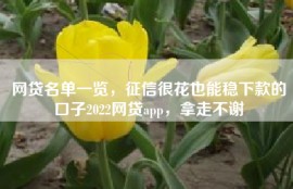 网贷名单一览，征信很花也能稳下款的口子2022网贷app，拿走不谢