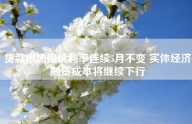 贷款市场报价利率连续5月不变 实体经济融资成本将继续下行