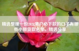 精选整理一份2022黑户必下款的口子有哪些小额贷款名单，精选分享
