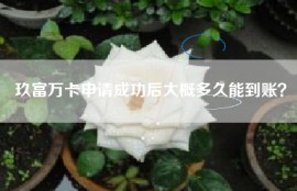 玖富万卡申请成功后大概多久能到账？