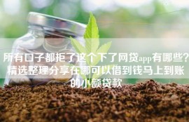 所有口子都拒了这个下了网贷app有哪些？精选整理分享在哪可以借到钱马上到账的小额贷款