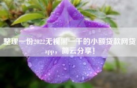 整理一份2022无视黑一千的小额贷款网贷app，简云分享！