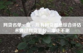 网贷名单一览，所有网贷都是综合评估未通过网贷平台，拿走不谢