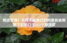 精选整理！千万不能错过的网黑有逾期能下款的口子2022小额贷款