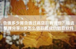 负债多少算负债过高贷款有哪些？精选整理分享18岁怎么借款能成功借款软件