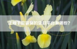 正规下款容易的贷款平台有哪些？