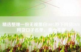 精选整理一份无视黑白100%秒下网贷2020网贷口子名单，拿走不谢