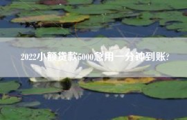 2022小额贷款5000急用一分钟到账?
