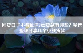 网贷口子不看征信2022贷款有哪些？精选整理分享几个小额贷款