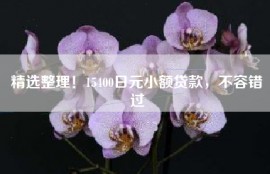 精选整理！15400日元小额贷款，不容错过