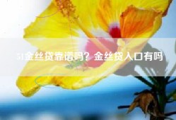 51金丝贷靠谱吗？金丝贷入口有吗