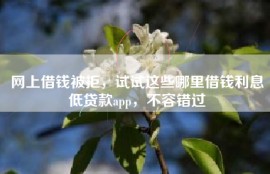 网上借钱被拒，试试这些哪里借钱利息低贷款app，不容错过