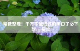 精选整理！千万不能错过的黑口子必下款app贷款