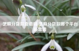 芝麻分贷款靠谱吗 芝麻分贷款哪个平台最靠谱