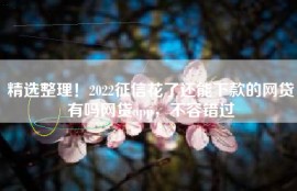 精选整理！2022征信花了还能下款的网贷有吗网贷app，不容错过