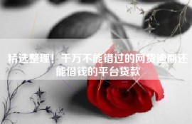 精选整理！千万不能错过的网贷逾期还能借钱的平台贷款