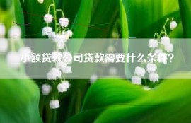 小额贷款公司贷款需要什么条件？