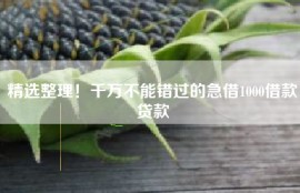 精选整理！千万不能错过的急借1000借款贷款