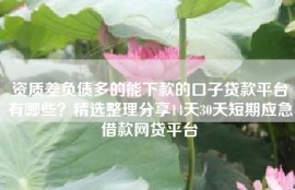 资质差负债多的能下款的口子贷款平台有哪些？精选整理分享14天30天短期应急借款网贷平台