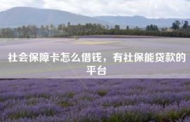 社会保障卡怎么借钱，有社保能贷款的平台