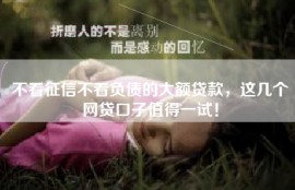 不看征信不看负债的大额贷款，这几个网贷口子值得一试！