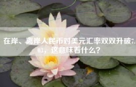 在岸、离岸人民币对美元汇率双双升破7.03，这意味着什么？