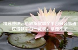 精选整理，小额贷款哪个平台最容易通过借款平台一览表，拿走不谢