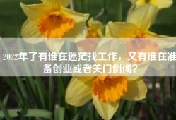 2022年了有谁在迷茫找工作，又有谁在准备创业或者关门倒闭？