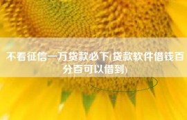 不看征信一万贷款必下(贷款软件借钱百分百可以借到)