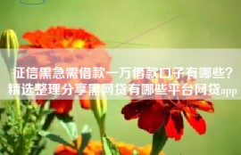 征信黑急需借款一万借款口子有哪些？精选整理分享黑网贷有哪些平台网贷app