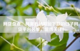 网贷盘点，网黑有逾期能下款的口子网贷平台名单，值得关注！