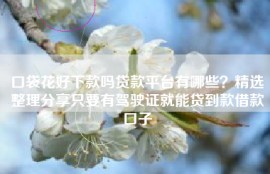 口袋花好下款吗贷款平台有哪些？精选整理分享只要有驾驶证就能贷到款借款口子