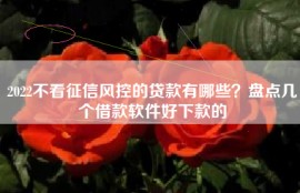 2022不看征信风控的贷款有哪些？盘点几个借款软件好下款的