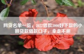 网贷名单一览，2022借款3000好下款的小额贷款借款口子，拿走不谢