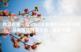 网贷名单一览，2022无视黑白100%秒下网贷有哪些网贷平台，拿走不谢