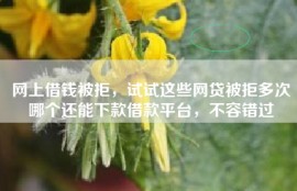 网上借钱被拒，试试这些网贷被拒多次哪个还能下款借款平台，不容错过