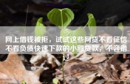 网上借钱被拒，试试这些网贷不看征信不看负债快速下款的小额贷款，不容错过