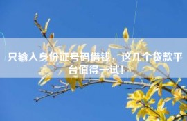 只输入身份证号码借钱，这几个贷款平台值得一试！