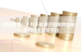 精选整理！千万不能错过的黑网贷能下款的口子贷款平台