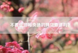 不看征信和负债的网贷靠谱吗？