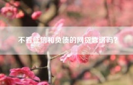 不看征信和负债的网贷靠谱吗？