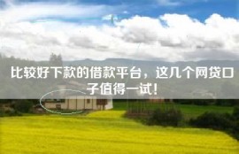 比较好下款的借款平台，这几个网贷口子值得一试！