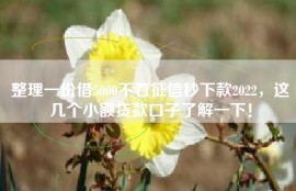 整理一份借5000不看征信秒下款2022，这几个小额贷款口子了解一下！