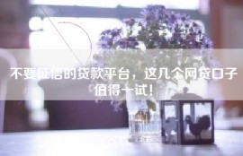 不要征信的贷款平台，这几个网贷口子值得一试！