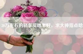 30万左右的轿车买啥车好，求大神指点哈？