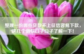 整理一份哪些贷款不上征信容易下款，这几个借款口子口子了解一下！