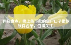 网贷盘点，晚上能下款的黑户口子借款软件名单，值得关注！